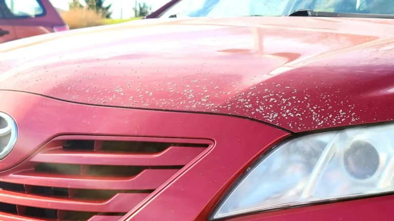 The hood of a red toyota vehicle covered in white paint chips.